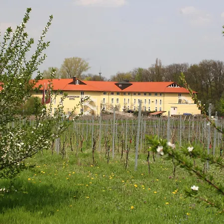 Maxx By Steigenberger Hotel