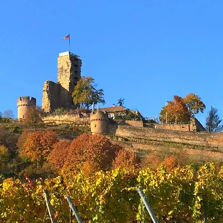 Maxx By Steigenberger Hotel Deidesheim
